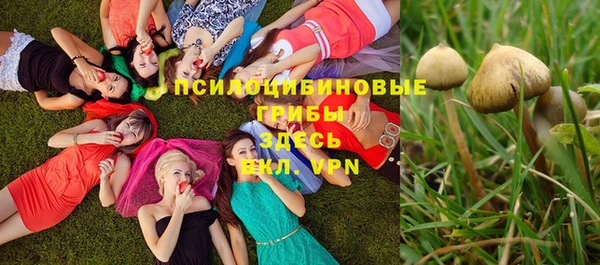 прущий лед Лагань