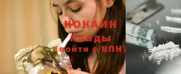 прущие грибы Кулебаки