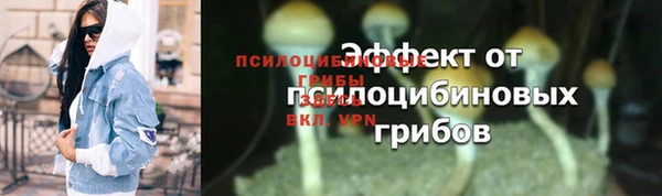 прущие грибы Кулебаки