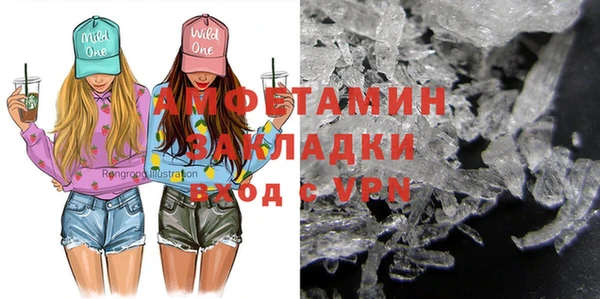 прущие грибы Кулебаки