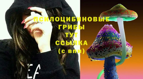 прущий лед Лагань
