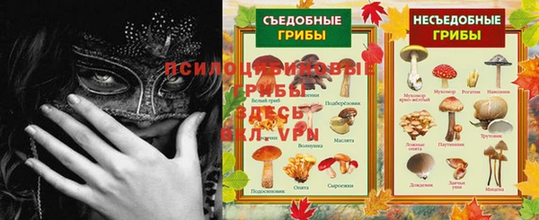 прущие грибы Кулебаки