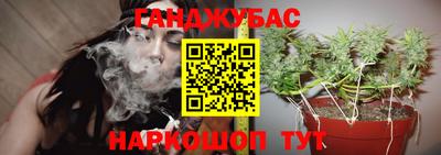 мдпв Ирбит