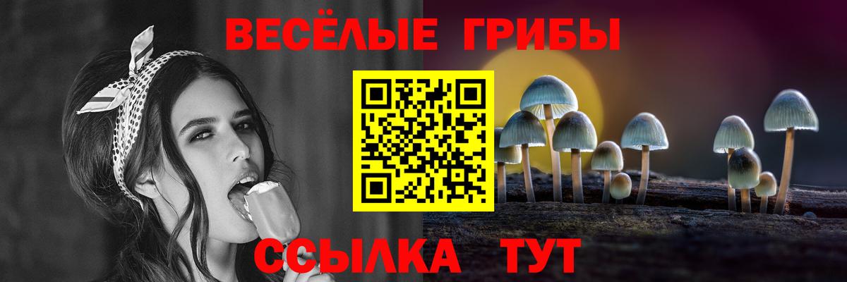 Галлюциногенные грибы мухоморы Кыштым
